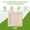 8,10 inch Square Plates Compostable Molded Fiber Square Plates Extra Strength No Added PFAS Natural Brown